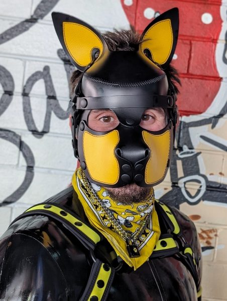 Achillies_Pup 🐶